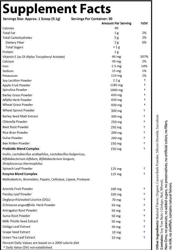 Green Vitality Superfood - Apple Cinnamon Turnover